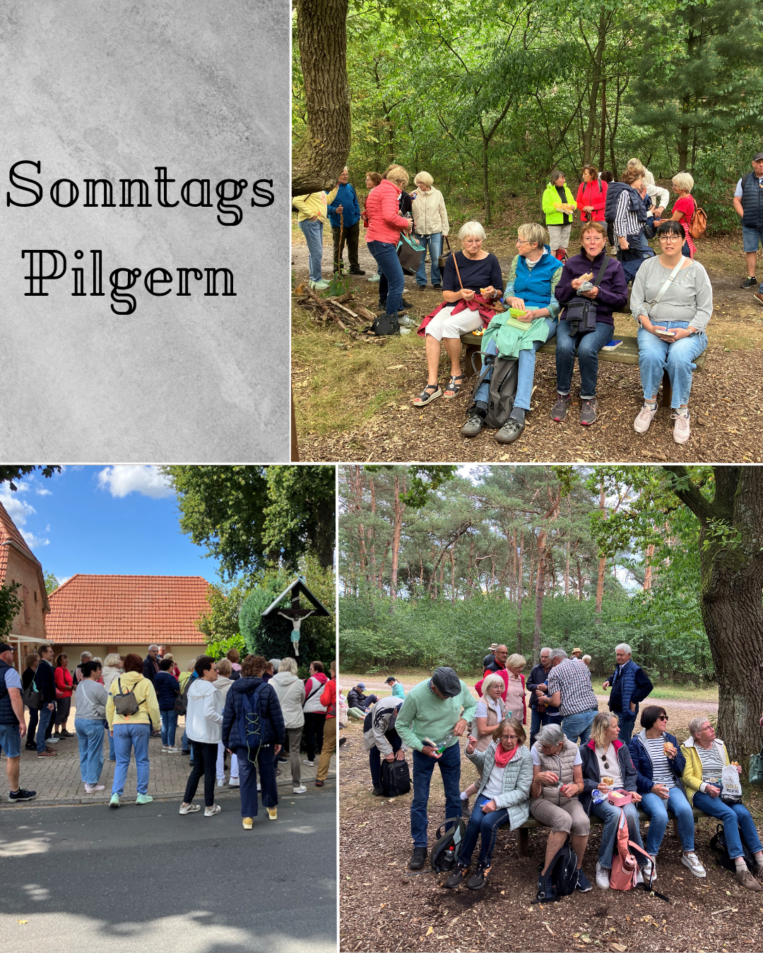 Collage mit vier Bildern zum „Sonntags-Pilgern“. Links oben steht der Titel „Sonntags Pilgern“ auf grauem Hintergrund. Rechts oben sitzen und stehen mehrere Menschen in einem Waldstück, einige auf einer Bank, andere im Gespräch. Links unten steht eine Gruppe vor einem Wegkreuz mit Korpus nahe eines Gebäudes. Rechts unten sitzen und stehen Pilgernde unter großen Bäumen, plaudern und machen Rast. Die Szenen zeigen Gemeinschaft, Bewegung und Einkehr in der Natur